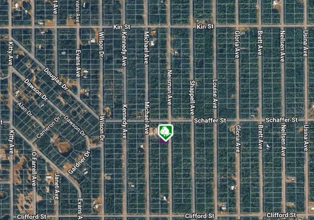 Photo 3 of Land for sale at Lot 33 Neisman Ave, Interlachen, FL 32148 | MLS# OM710311 | Listing updated on 2026-10-13