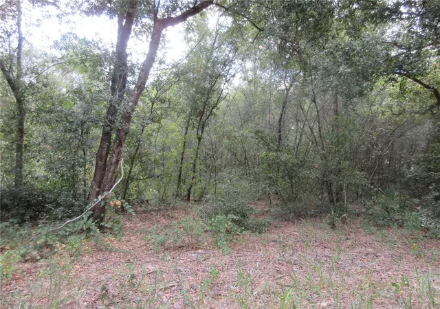 1st image of Se 1 Ln, Silver Springs, FL 34488 | MLS# OM710321