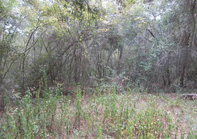 2nd image of Se 1 Ln, Silver Springs, FL 34488 | MLS# OM710321