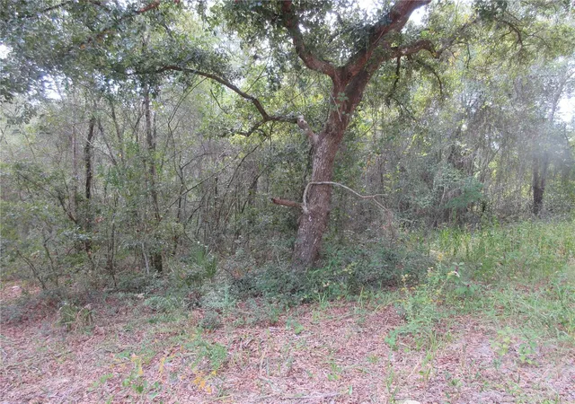 3rd image of Se 1 Ln, Silver Springs, FL 34488 | MLS# OM710321