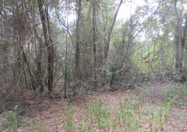 4th image of Se 1 Ln, Silver Springs, FL 34488 | MLS# OM710321