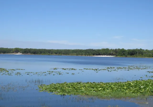 42nd image of Se 1 Ln, Silver Springs, FL 34488 | MLS# OM710321