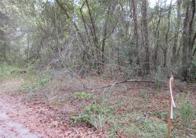 5th image of Se 1 Ln, Silver Springs, FL 34488 | MLS# OM710321