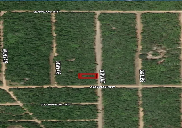 Photo 1 of Land for sale at Lot 20 Gloria Ave, Interlachen, FL 32148 | MLS# OM710361 | Listing updated on 2026-10-13