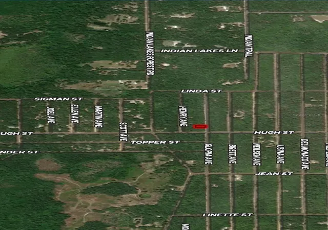 Photo 4 of Land for sale at Lot 20 Gloria Ave, Interlachen, FL 32148 | MLS# OM710361 | Listing updated on 2026-10-13