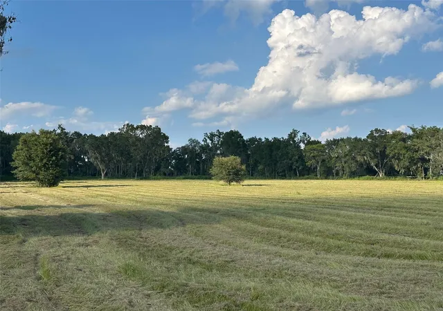 Photo 1 of Land for sale at Tbd Nw 100th Ave, Ocala, FL 34482 | MLS# OM710384 | Listing updated on 2025-09-29
