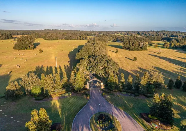 Photo 3 of Land for sale at Tbd Se 8th Avenue #Lot 306, Ocala, FL 34473 | MLS# OM710405 | Listing updated on 2026-06-29