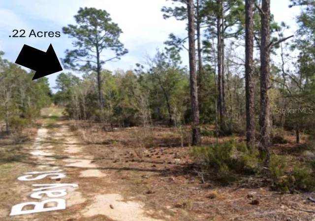 Photo 2 of Land for sale at Xx Bay St, Interlachen, FL 32148 | MLS# OM710414 | Listing updated on 2026-09-29