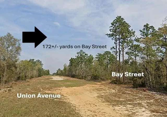 Photo 3 of Land for sale at Xx Bay St, Interlachen, FL 32148 | MLS# OM710414 | Listing updated on 2026-09-29