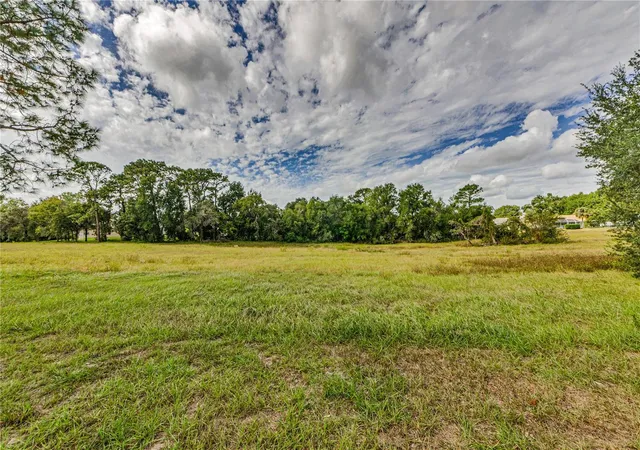 4th image of 10443 Casa Grande Cir, Spring Hill, FL 34608 | MLS# TB8432140
