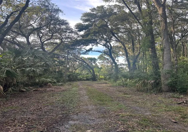 3rd image of 6661 E Turner Camp Rd, Inverness, FL 34453 | MLS# OM710423