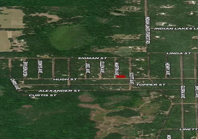 Photo 2 of Land for sale at Lot 13 Martin Ave, Interlachen, FL 32148 | MLS# OM710436 | Listing updated on 2026-10-13