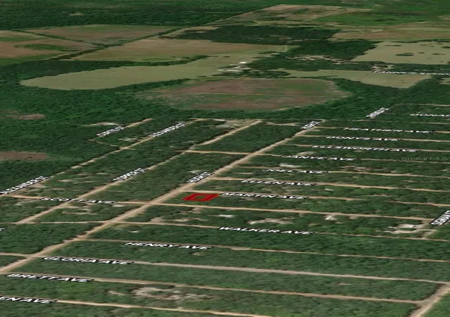 Photo 3 of Land for sale at Lot 13 Martin Ave, Interlachen, FL 32148 | MLS# OM710436 | Listing updated on 2026-10-13