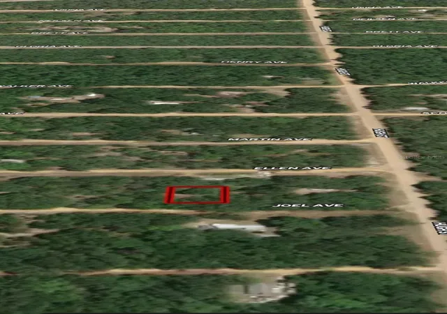 Photo 3 of Land for sale at Lot 11 Joel Ave, Interlachen, FL 32148 | MLS# OM710439 | Listing updated on 2026-10-13