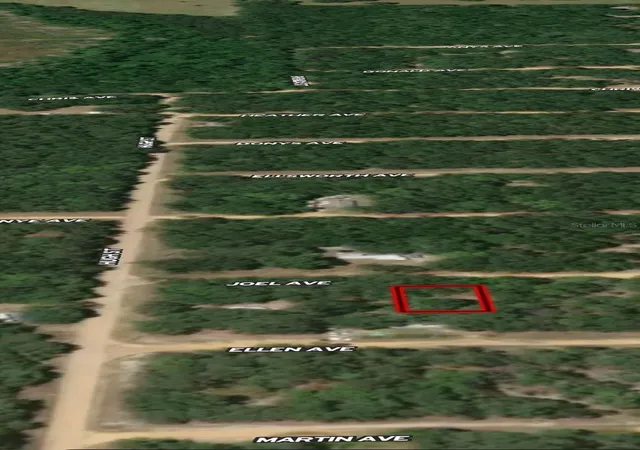 Photo 3 of Land for sale at Lot 11 Joel Ave, Interlachen, FL 32148 | MLS# OM710439 | Listing updated on 2026-10-13