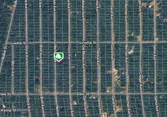 Photo 1 of Land for sale at Lot 7 Neilsen Ave, Interlachen, FL 32148 | MLS# OM710451 | Listing updated on 2026-10-13