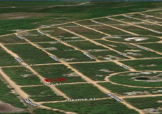 Photo 3 of Land for sale at Lot 19 Selma Ave, Interlachen, FL 32148 | MLS# OM710464 | Listing updated on 2026-10-13