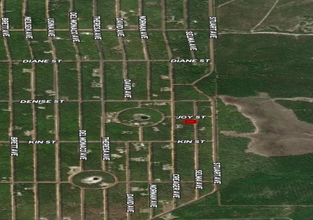 Photo 3 of Land for sale at Lot 19 Selma Ave, Interlachen, FL 32148 | MLS# OM710464 | Listing updated on 2026-10-13