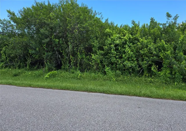Photo 2 of Land for sale at 167 Lenoir St Nw, Port Charlotte, FL 33948 | MLS# A4666630 | Listing updated on 2026-10-02