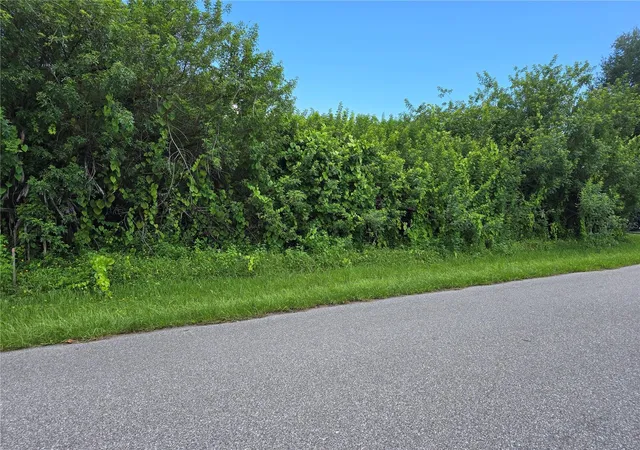 Photo 3 of Land for sale at 167 Lenoir St Nw, Port Charlotte, FL 33948 | MLS# A4666630 | Listing updated on 2026-10-02