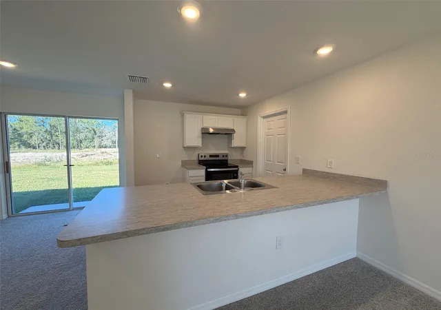 Photo 3 of Single family home for sale at 219 Spoonbill Ln, Kissimmee, FL 34759 | MLS# C7515545 | Listing updated on 2026-10-23