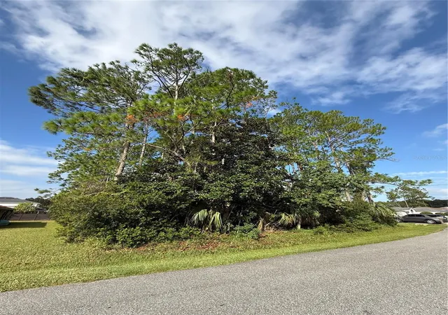 Homes for sale in Palm Coast, FL | 19 Lindberg Ln, Palm Coast, FL 32137 | MLS# FC313085