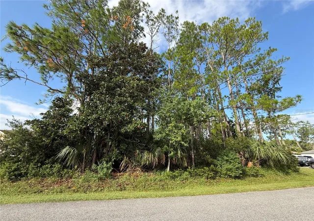 Homes for sale in Palm Coast, FL | 19 Lindberg Ln, Palm Coast, FL 32137 | MLS# FC313085