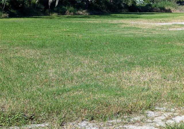 14th image of Se Carlstrom Field Rd, Arcadia, FL 34266 | MLS# C7515555