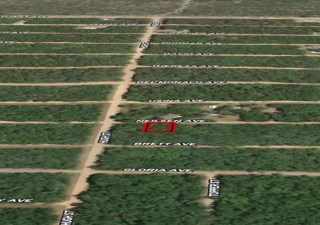 Photo 2 of Land for sale at Lot 35 Neilsen Ave, Interlachen, FL 32148 | MLS# OM710501 | Listing updated on 2026-10-13