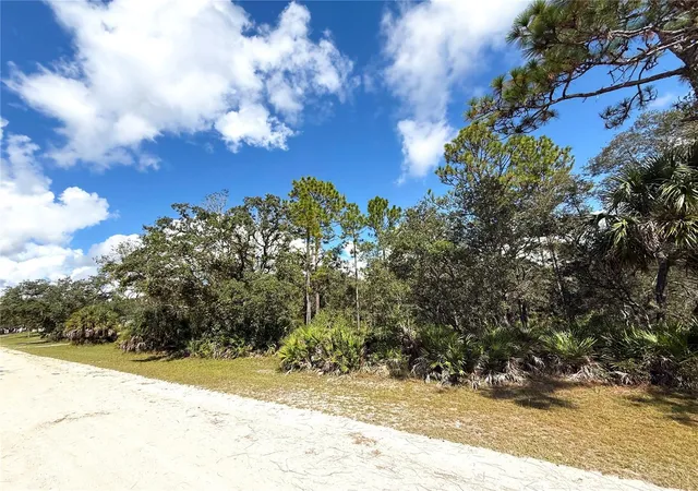 Homes for sale in Brooksville, FL | Syracuse Dr, Brooksville, FL 34614 | MLS# O6348607