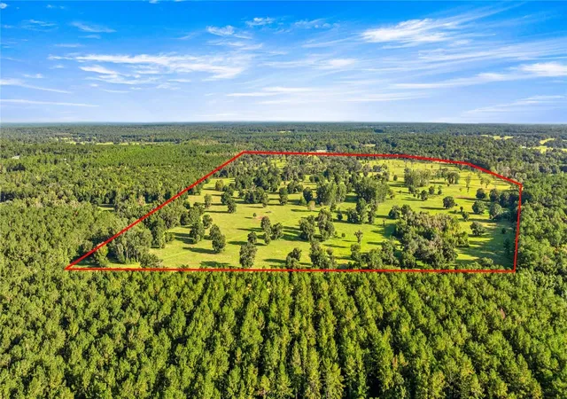 Land for sale at 17748 N Highway 329, REDDICK, FL 32686 | MLS# OM710603
