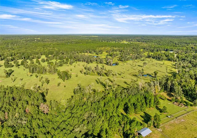 Photo 2 of Land for sale at 17748 N Highway 329, Reddick, FL 32686 | MLS# OM710603 | Listing updated on 2026-01-13