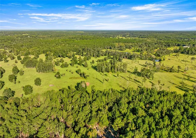 Photo 3 of Land for sale at 17748 N Highway 329, Reddick, FL 32686 | MLS# OM710603 | Listing updated on 2026-01-13