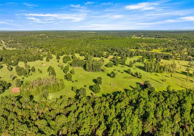 Photo 3 of Land for sale at 17748 N Highway 329, Reddick, FL 32686 | MLS# OM710603 | Listing updated on 2026-01-13