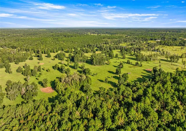 Photo 4 of Land for sale at 17748 N Highway 329, Reddick, FL 32686 | MLS# OM710603 | Listing updated on 2026-01-13