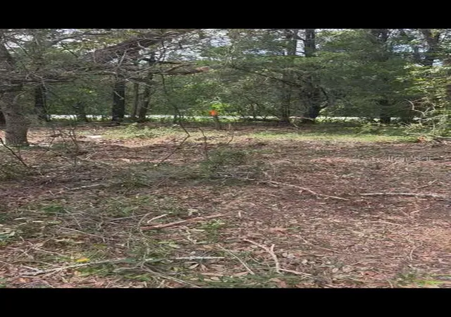 2nd image of Se 112 Pl, Ocklawaha, FL 32179 | MLS# S5135769
