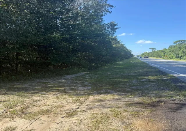 5th image of Se 112 Pl, Ocklawaha, FL 32179 | MLS# S5135769