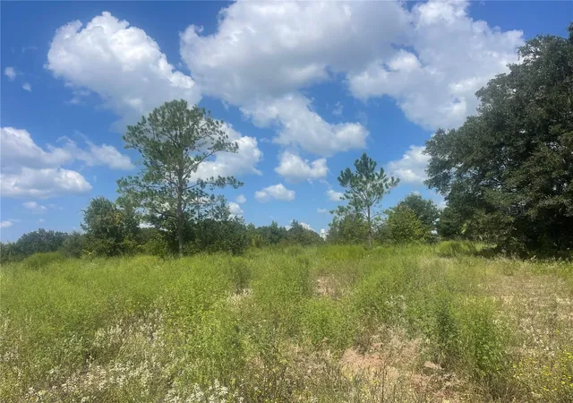 2nd image of Tbd Keene Rd, Umatilla, FL 32784 | MLS# G5102828