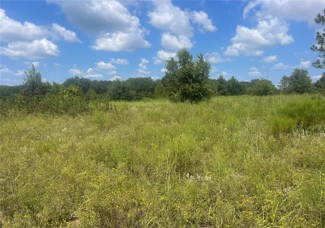 3rd image of Tbd Keene Rd, Umatilla, FL 32784 | MLS# G5102828
