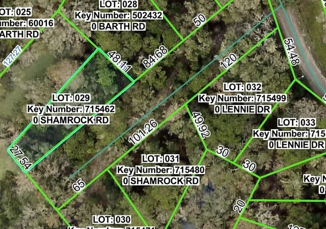 Homes for sale in Dade City, FL | Shamrock Rd, Dade City, FL 33523 | MLS# W7879509