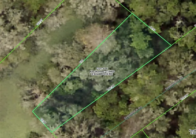 Homes for sale in Dade City, FL | Shamrock Rd, Dade City, FL 33523 | MLS# W7879509