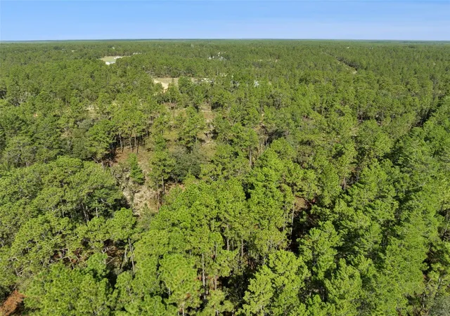 5th image of 240 Cessna Way, Hawthorne, FL 32640 | MLS# OM710784