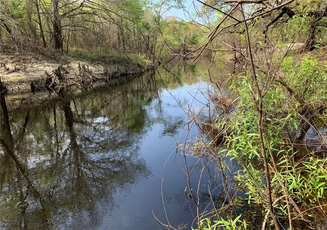 Photo 3 of Land for sale at 33074 Ranch Rd, Dade City, FL 33523 | MLS# A4667316 | Listing updated on 2026-06-02