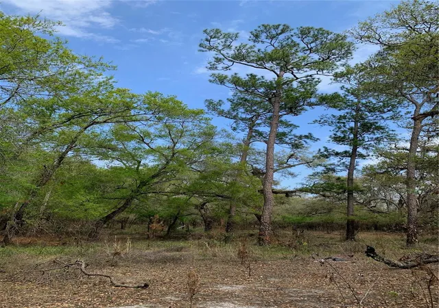 Photo 4 of Land for sale at 33074 Ranch Rd, Dade City, FL 33523 | MLS# A4667316 | Listing updated on 2026-06-02