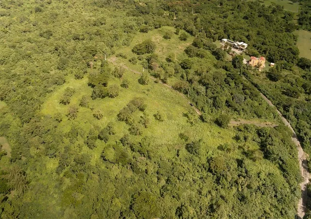 Photo 2 of Land for sale at 1 Prairie 995, Vieques, PR 00765 | MLS# PR9116468 | Listing updated on 2025-10-04