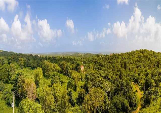 Photo 5 of Land for sale at 1 Prairie 995, Vieques, PR 00765 | MLS# PR9116468 | Listing updated on 2025-10-04