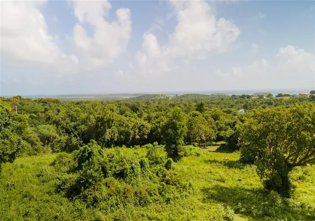 Photo 2 of Land for sale at 4 Prairie 995, Vieques, PR 00765 | MLS# PR9116470 | Listing updated on 2025-10-04