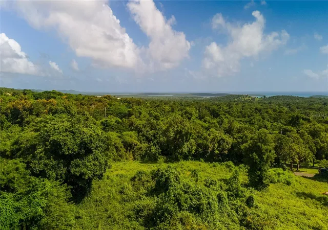Photo 2 of Land for sale at 4 Prairie 995, Vieques, PR 00765 | MLS# PR9116470 | Listing updated on 2025-10-04