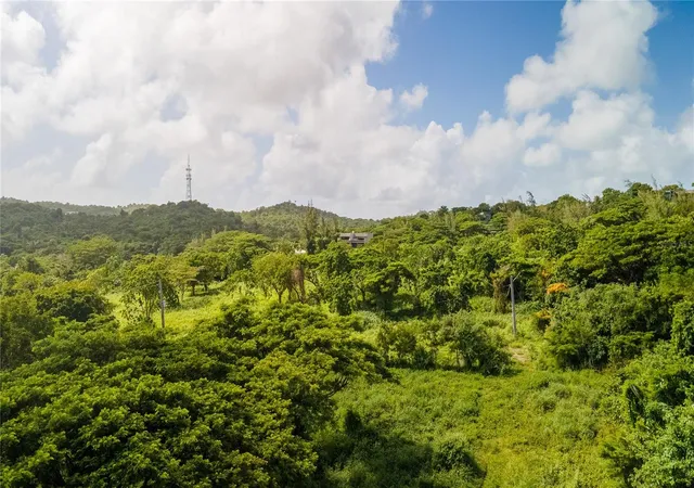 Photo 3 of Land for sale at 4 Prairie 995, Vieques, PR 00765 | MLS# PR9116470 | Listing updated on 2025-10-04