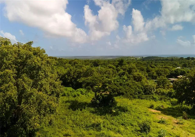 Photo 4 of Land for sale at 4 Prairie 995, Vieques, PR 00765 | MLS# PR9116470 | Listing updated on 2025-10-04